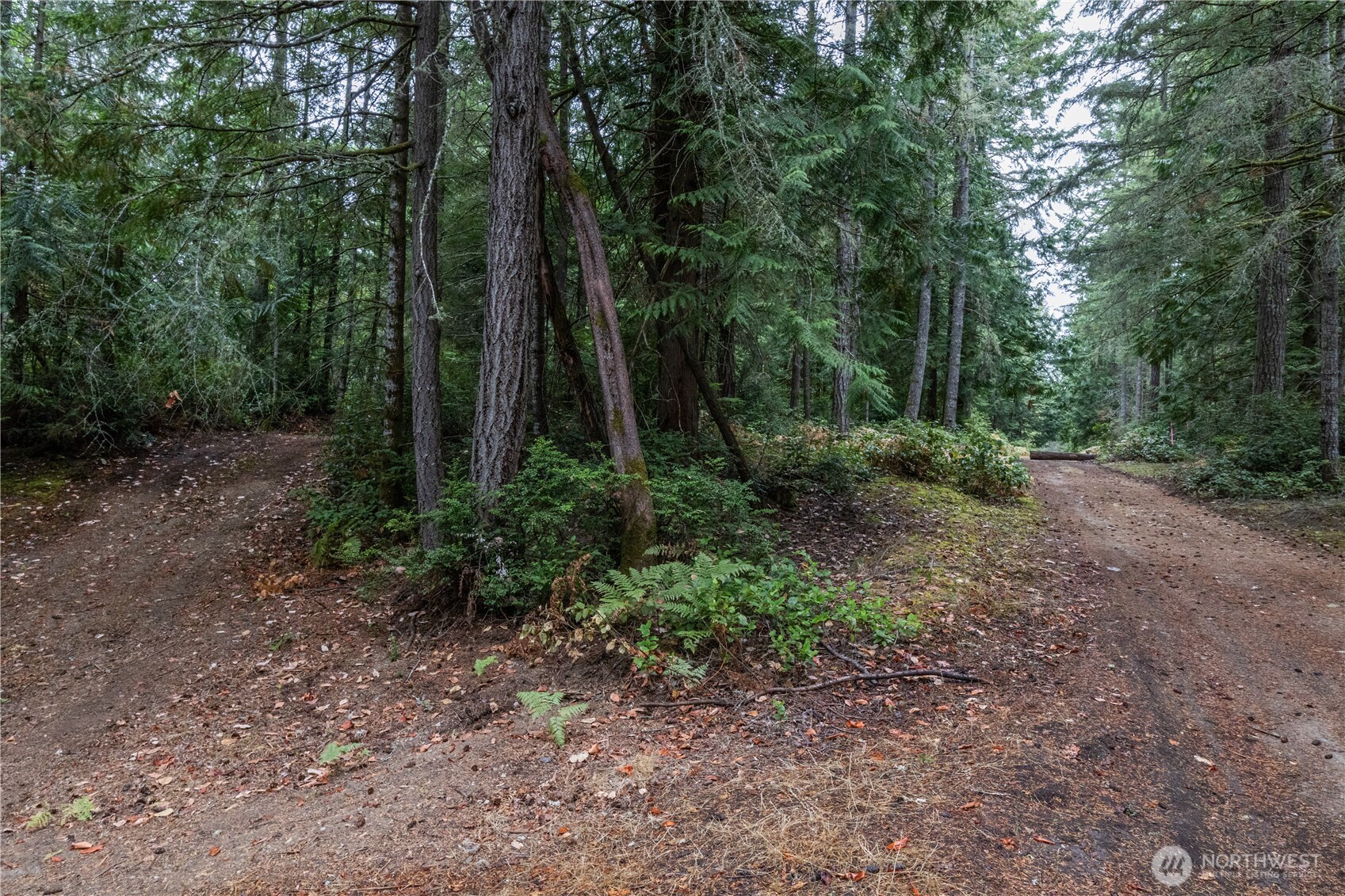 15028 47th Avenue Property Photo 9