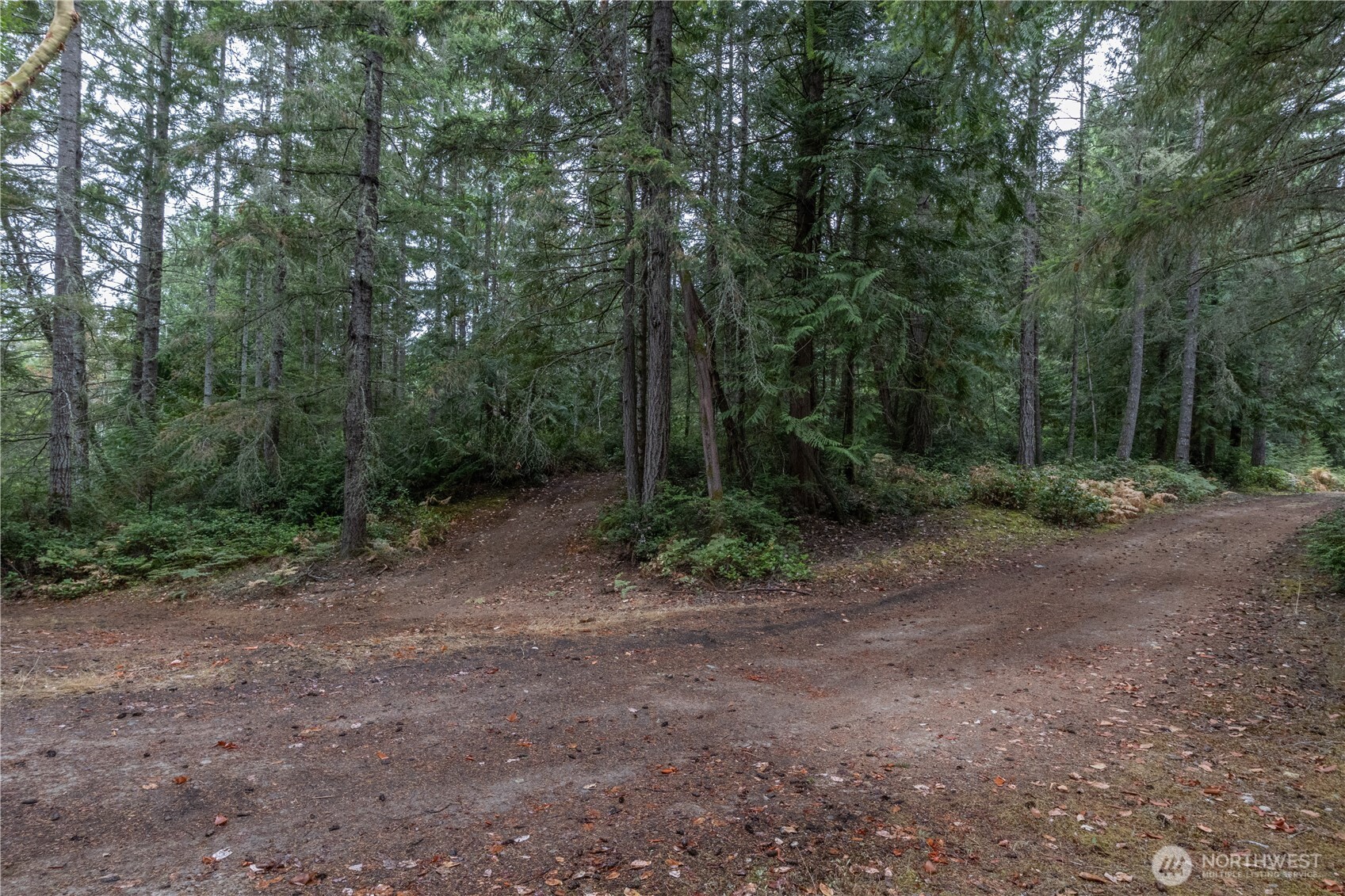 15028 47th Avenue Property Photo 10