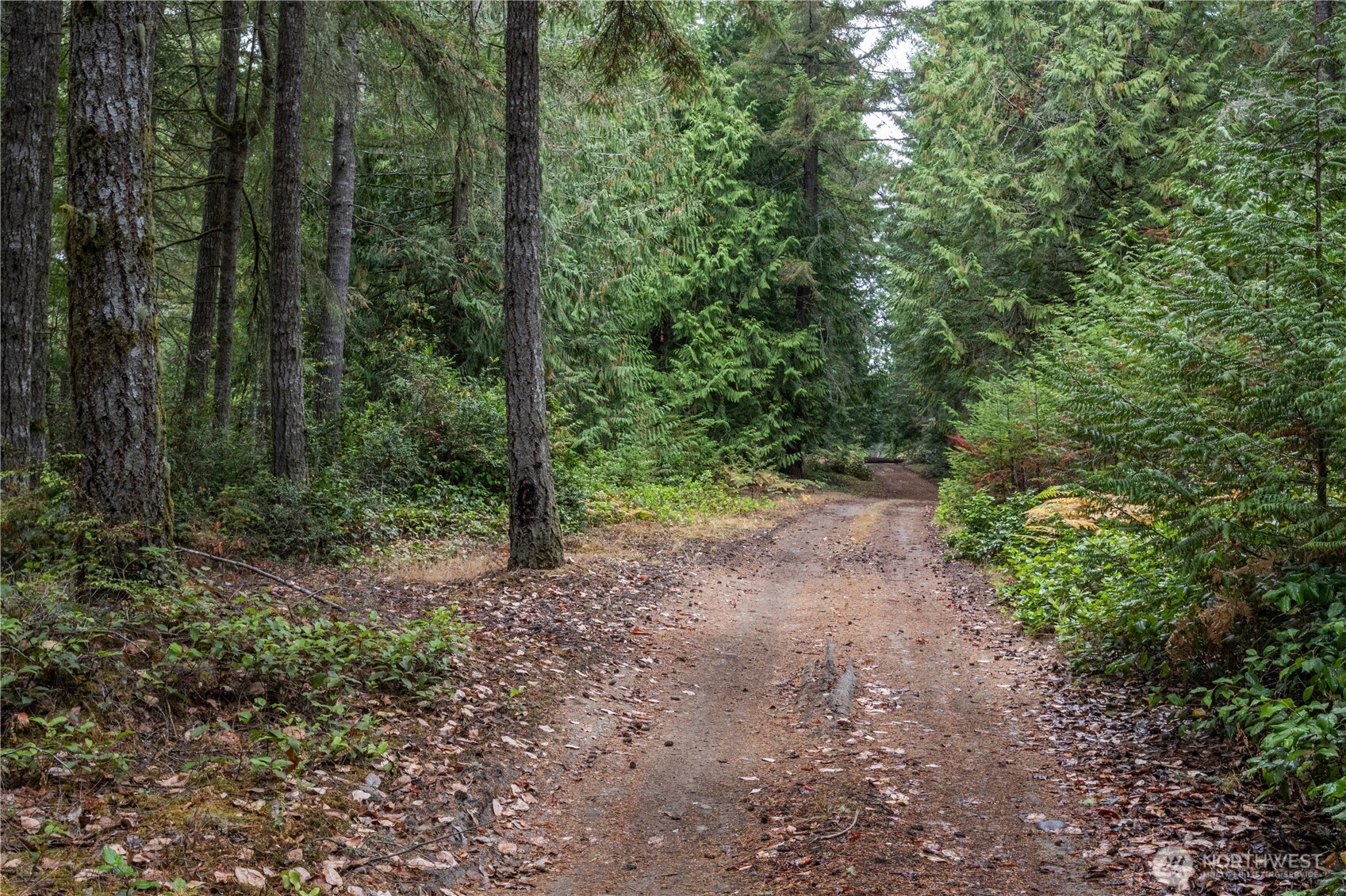 15028 47th Avenue Property Photo 11