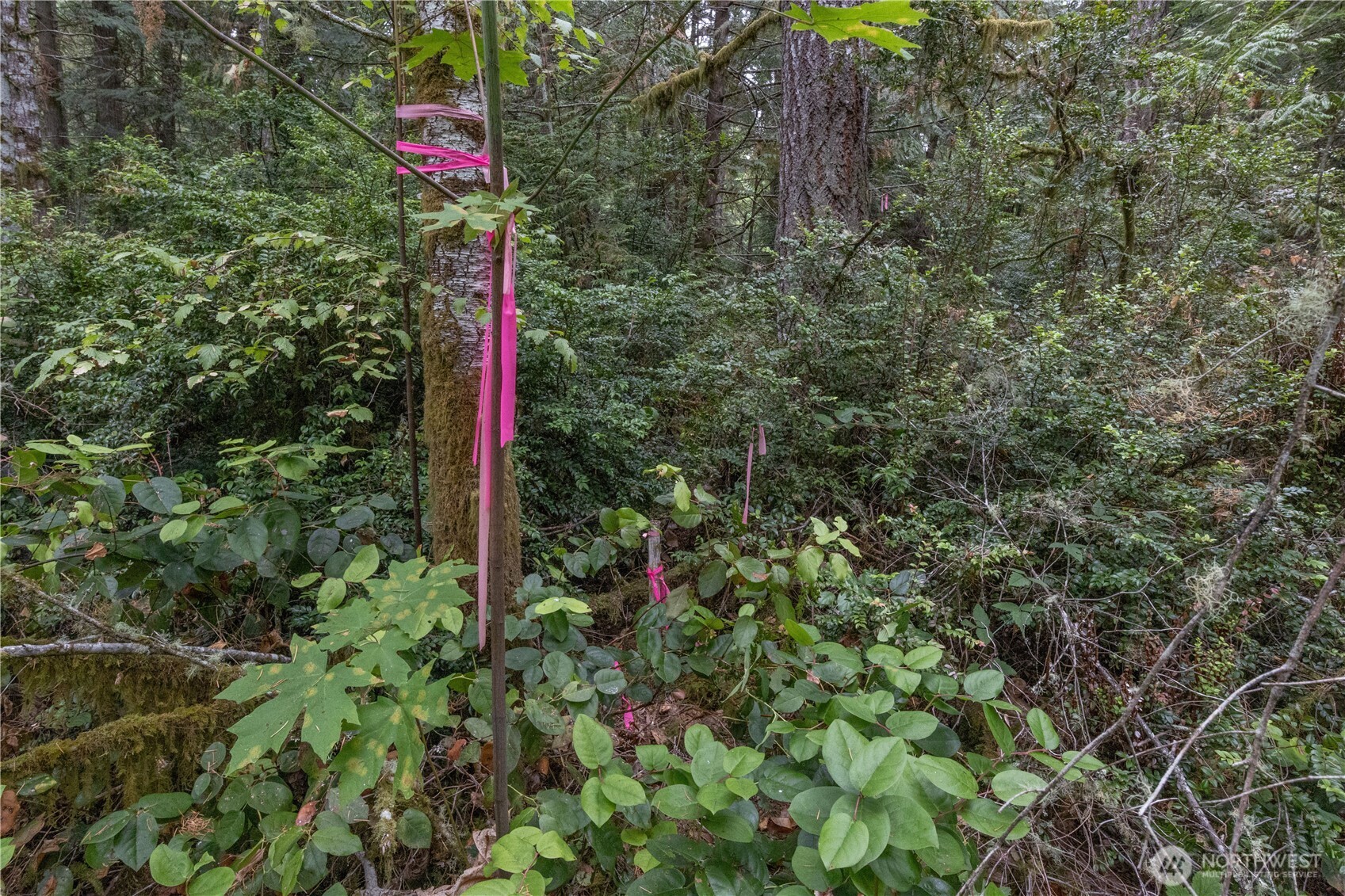 15028 47th Avenue Property Photo 13
