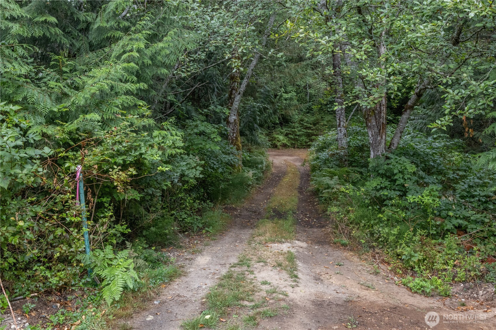 15028 47th Avenue Property Photo 15