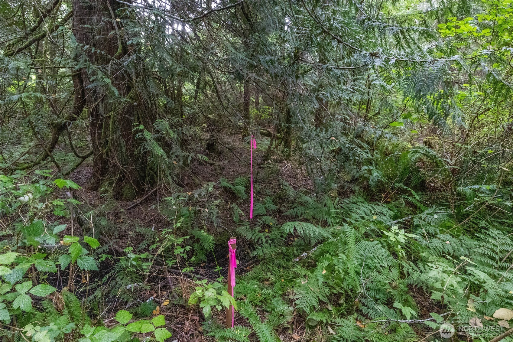 15028 47th Avenue Property Photo 16