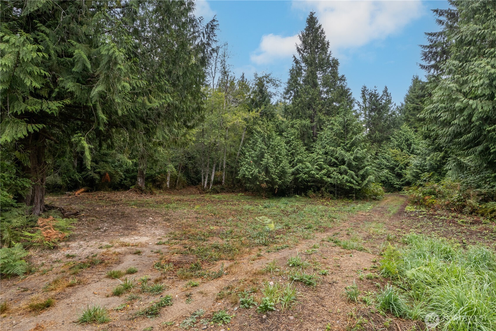 15028 47th Avenue Property Photo 17