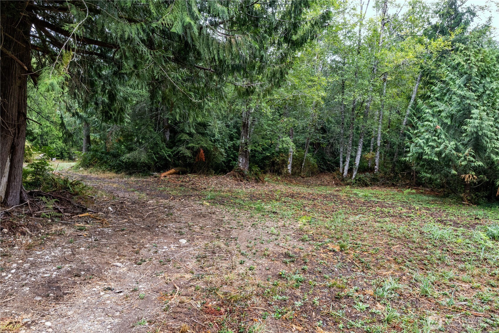 15028 47th Avenue Property Photo 18