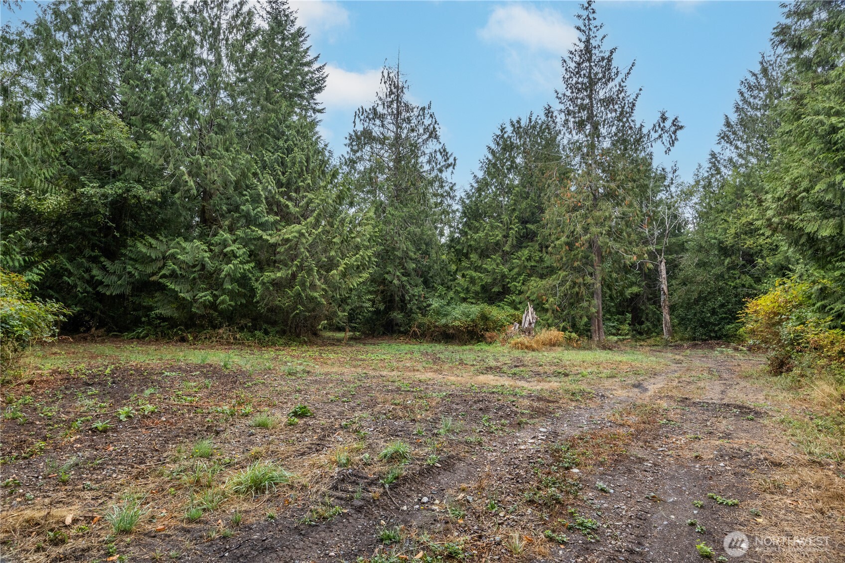 15028 47th Avenue Property Photo 19