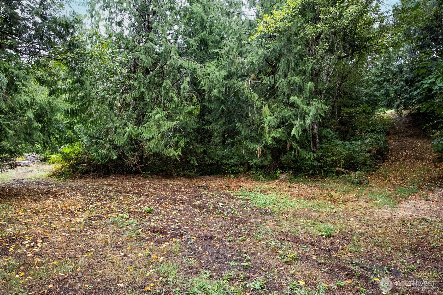 15028 47th Avenue Property Photo 20