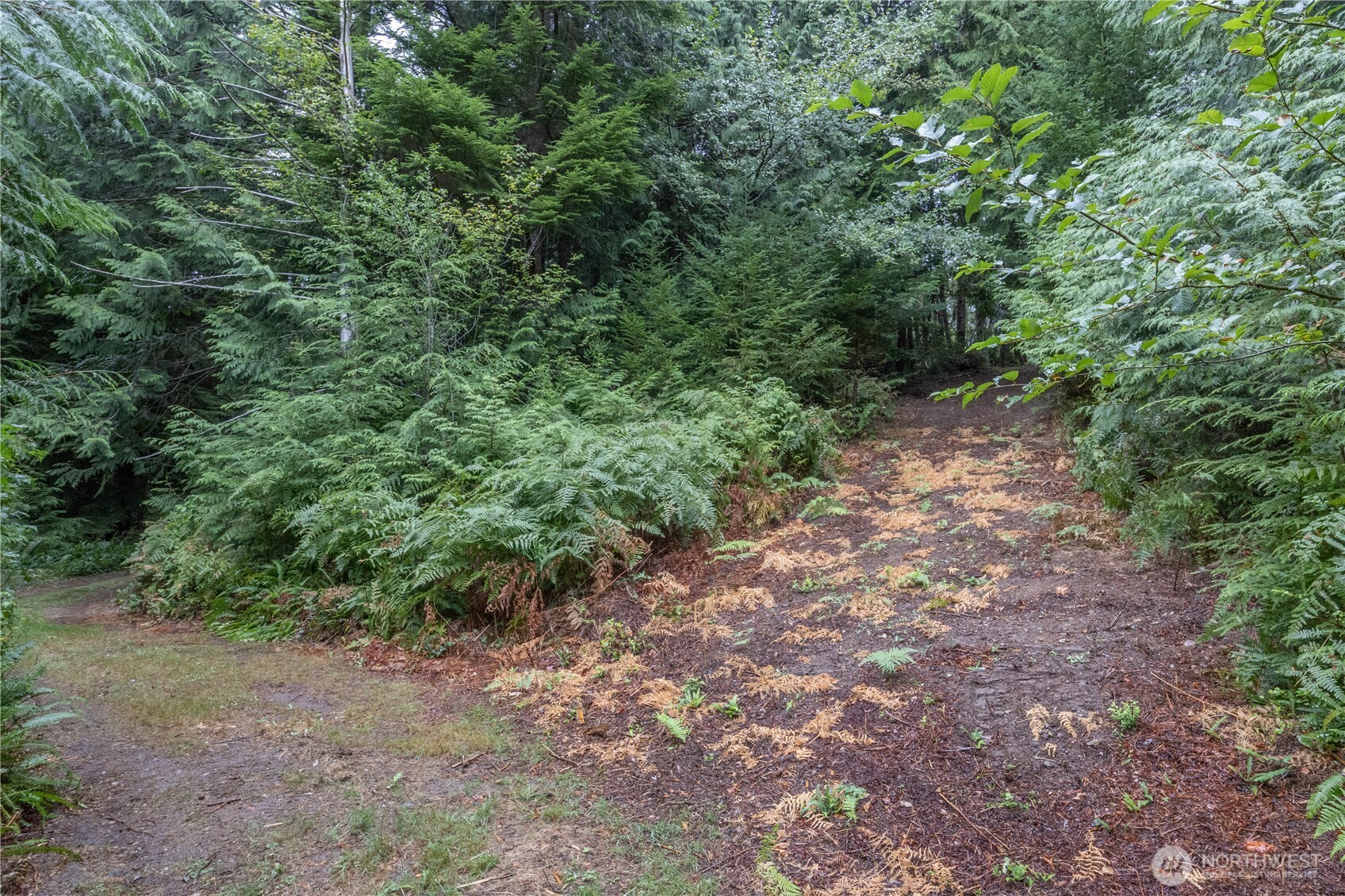 15028 47th Avenue Property Photo 21