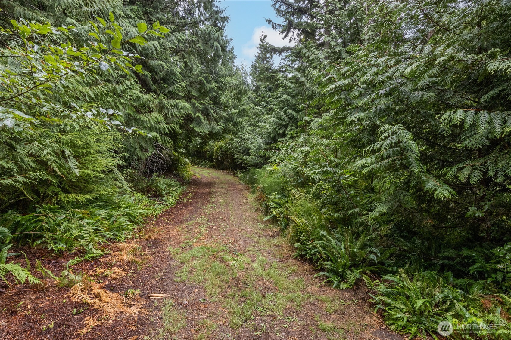 15028 47th Avenue Property Photo 22