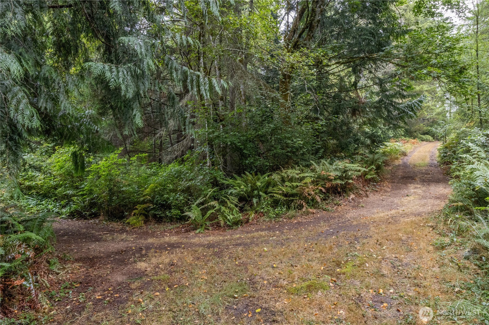 15028 47th Avenue Property Photo 23
