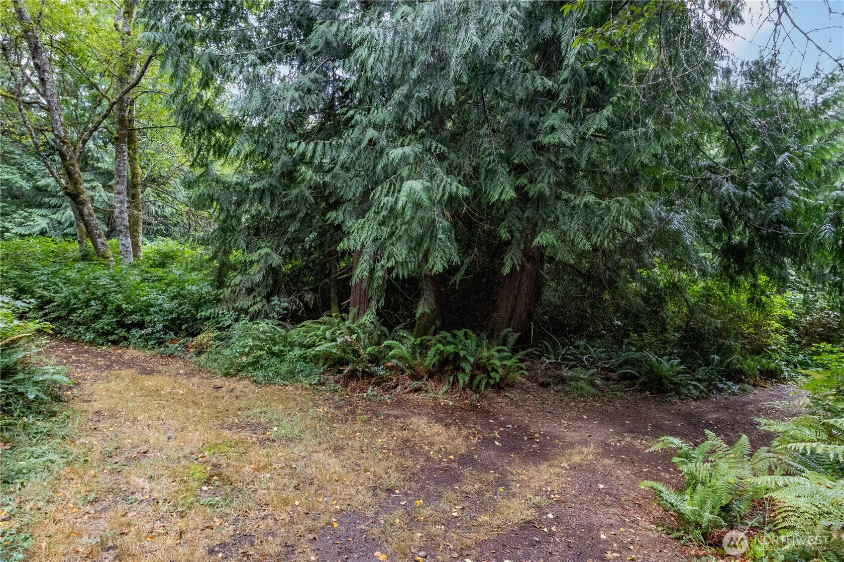 15028 47th Avenue Property Photo 24