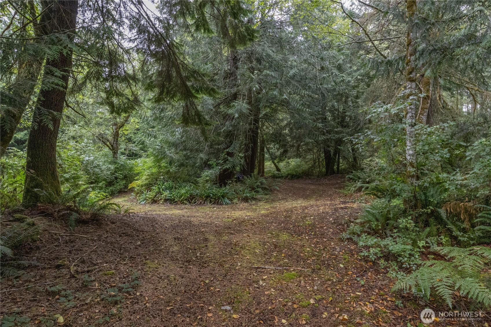 15028 47th Avenue Property Photo 25
