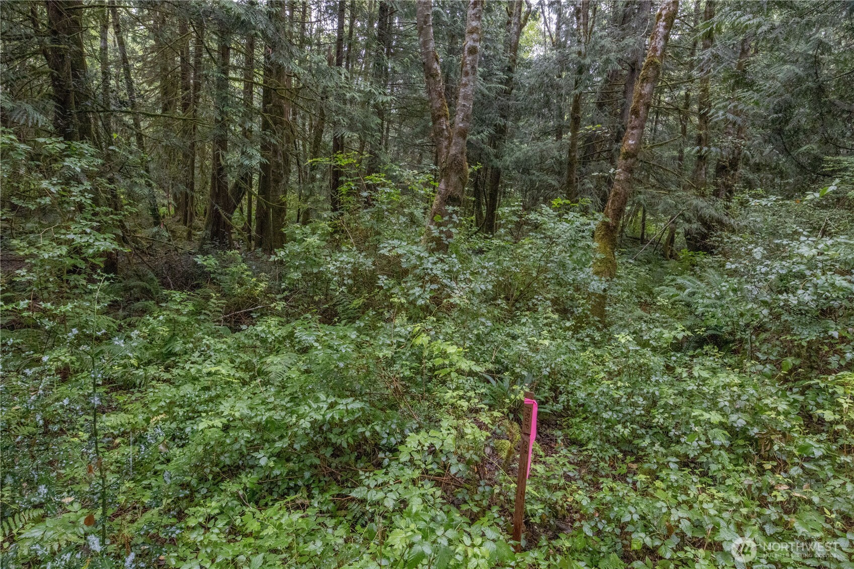 15028 47th Avenue Property Photo 27