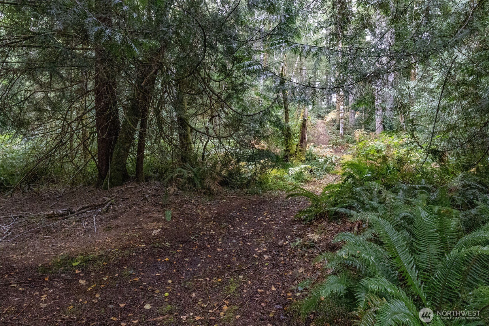 15028 47th Avenue Property Photo 28