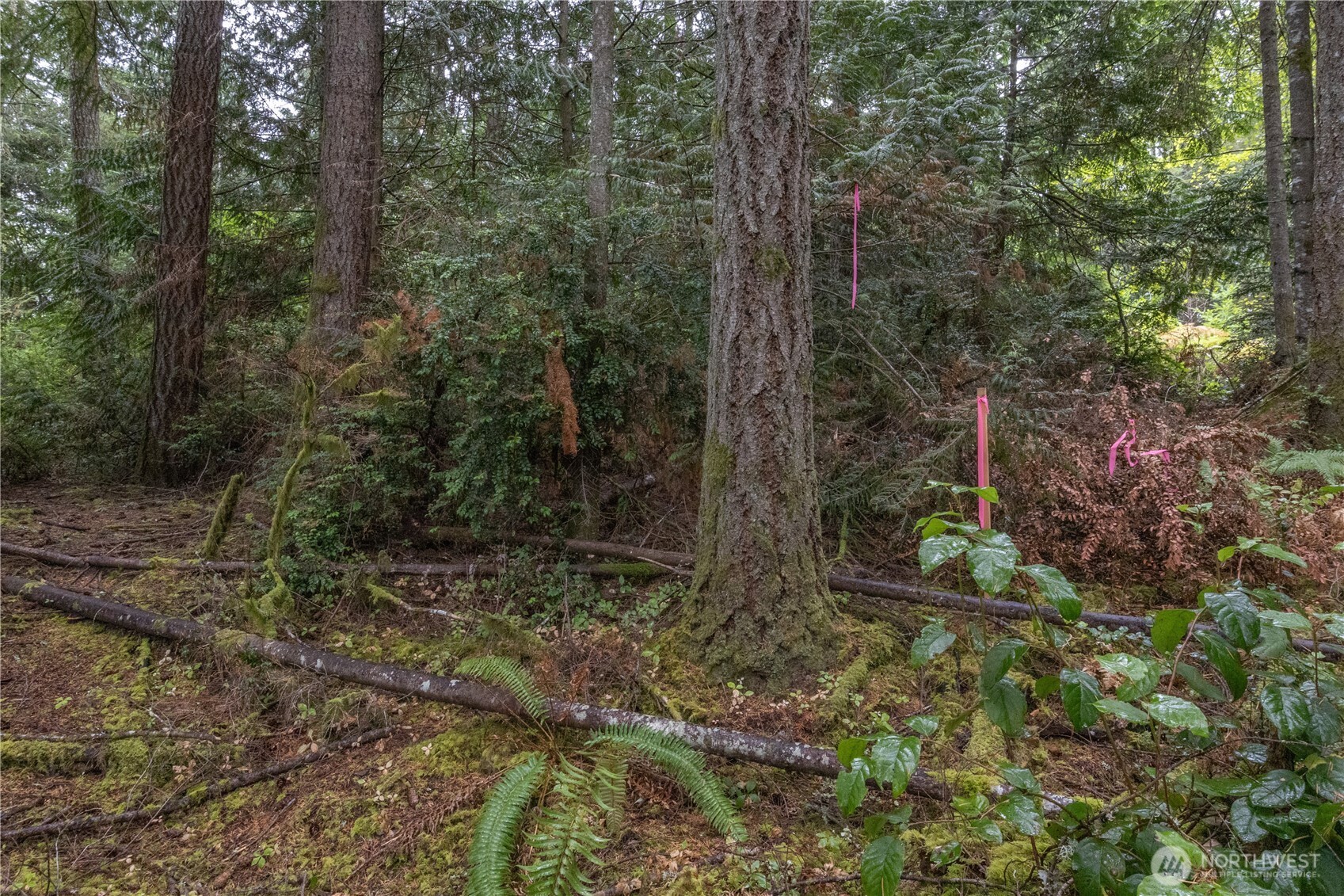 15028 47th Avenue Property Photo 30