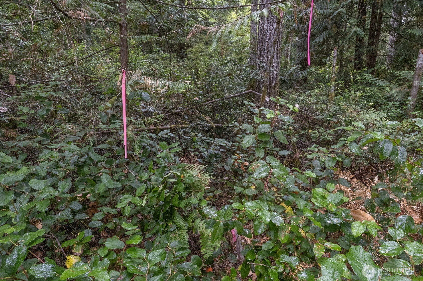 15028 47th Avenue Property Photo 31