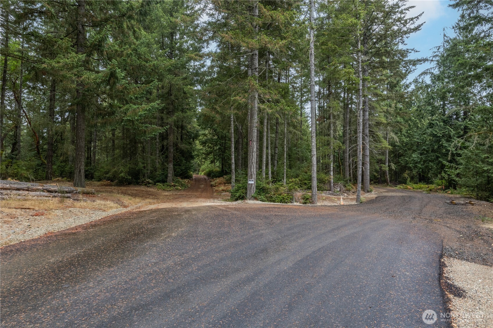 15028 47th Avenue Property Photo 33