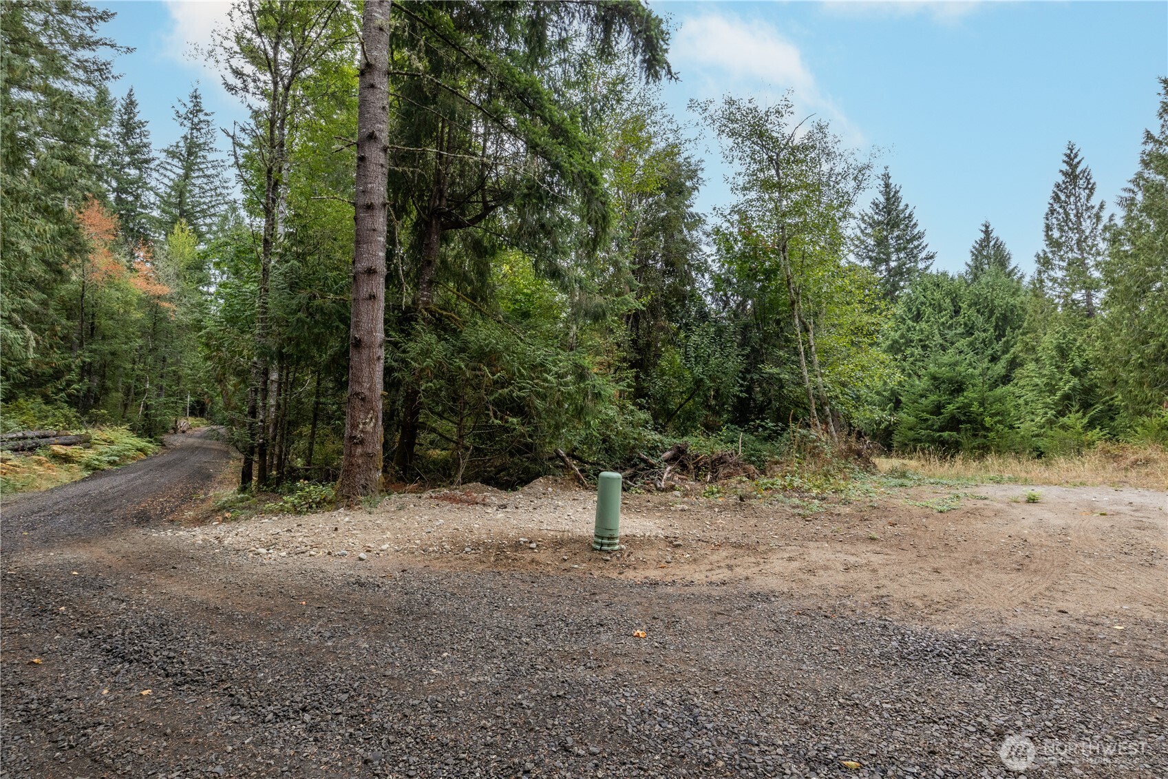 15028 47th Avenue Property Photo 39