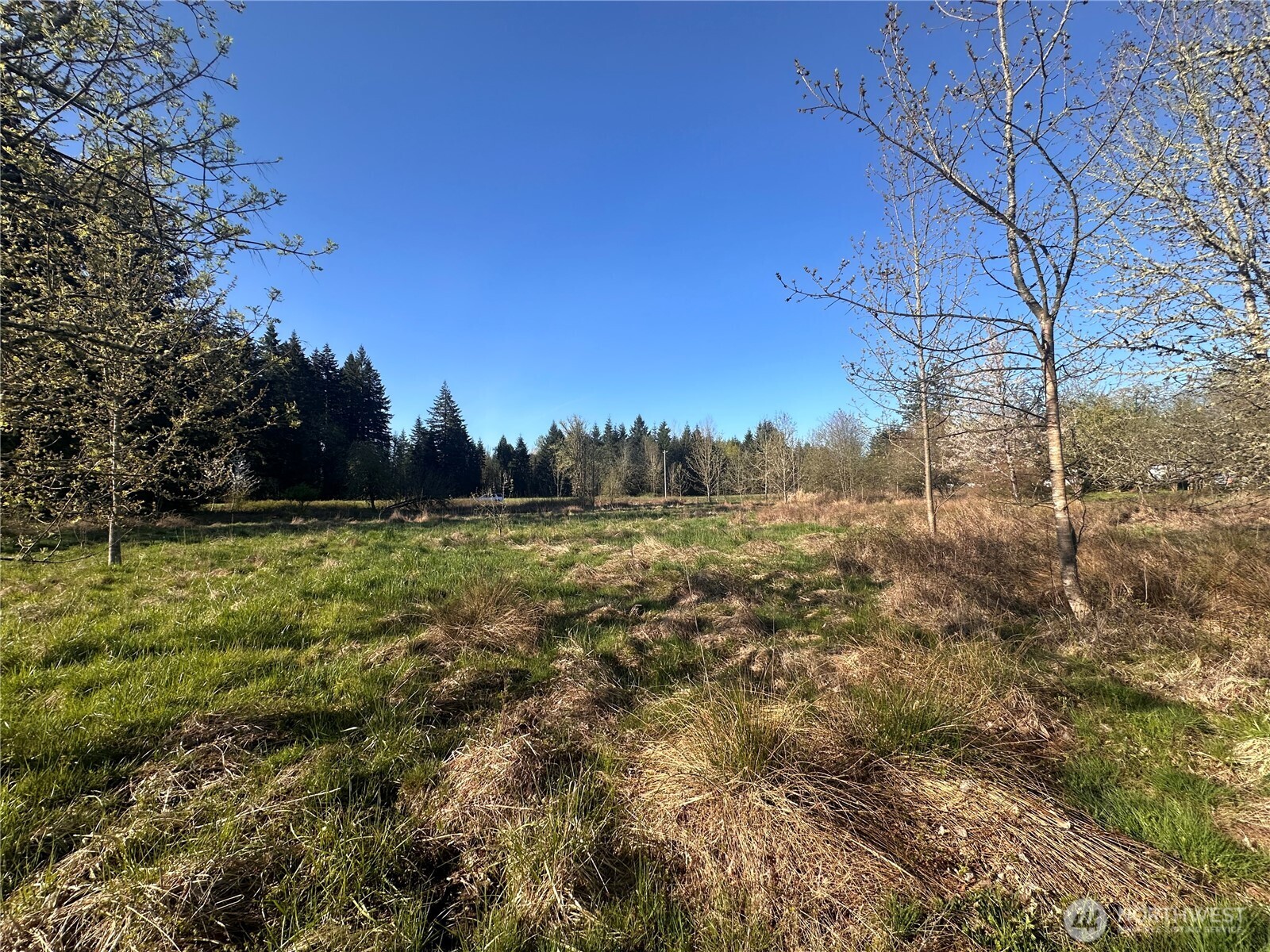 517 Toledo Salmon Creek Road Property Photo 2