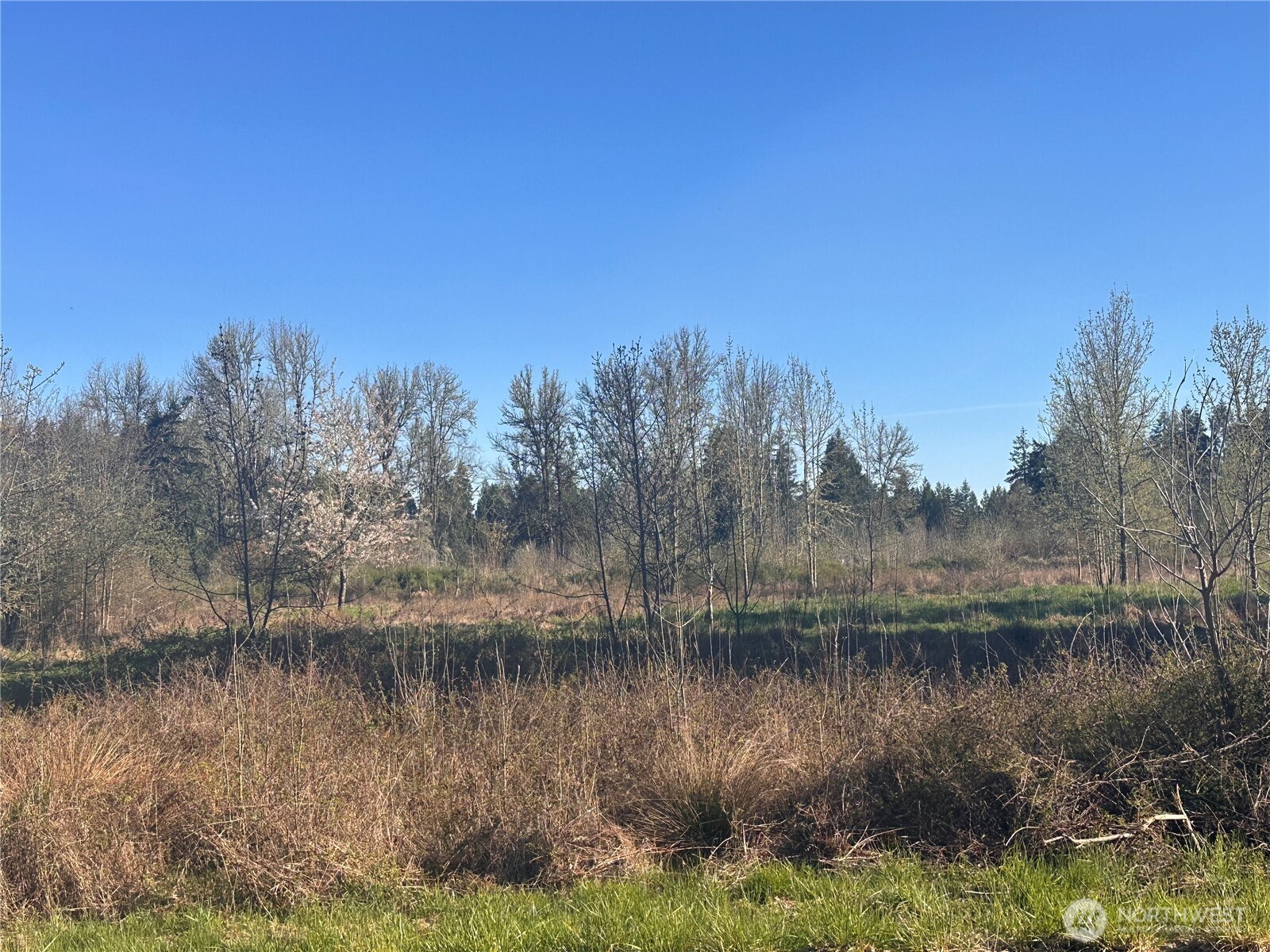 517 Toledo Salmon Creek Road Property Photo 3