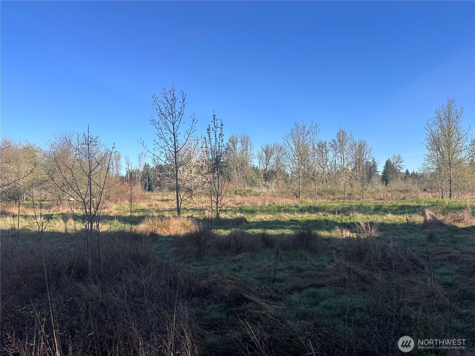 517 Toledo Salmon Creek Road Property Photo 4