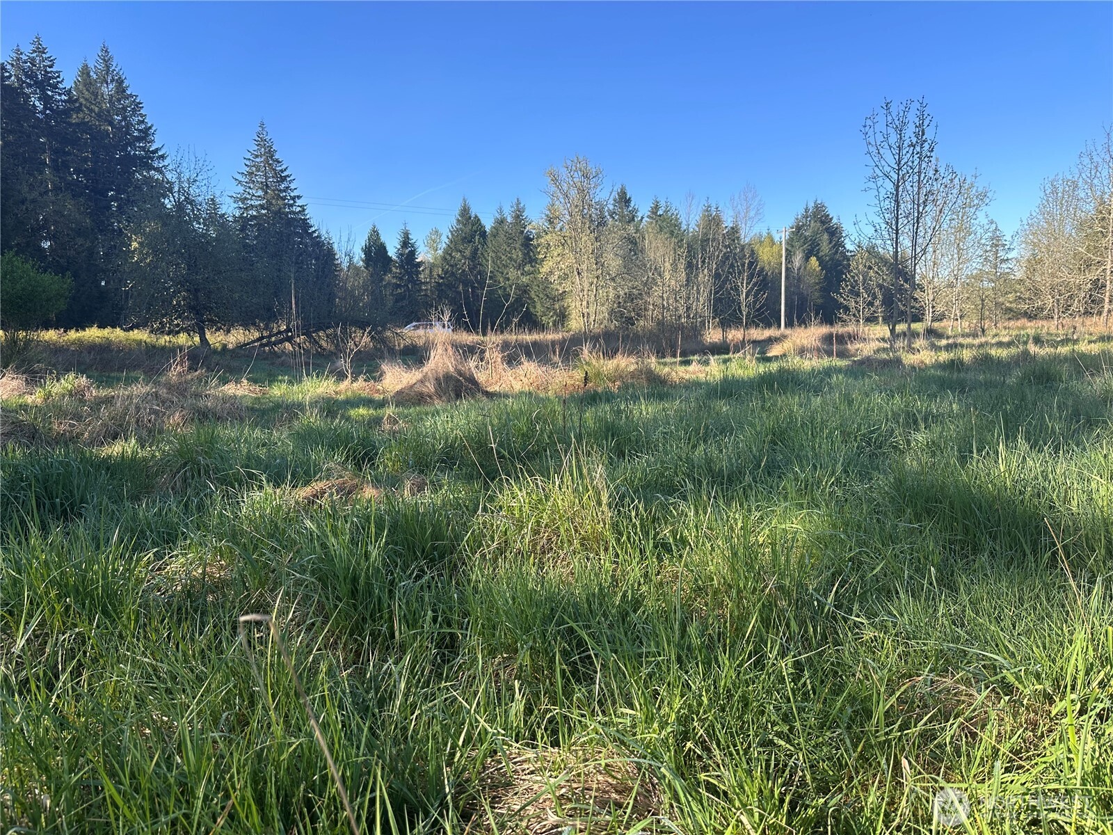 517 Toledo Salmon Creek Road Property Photo 5
