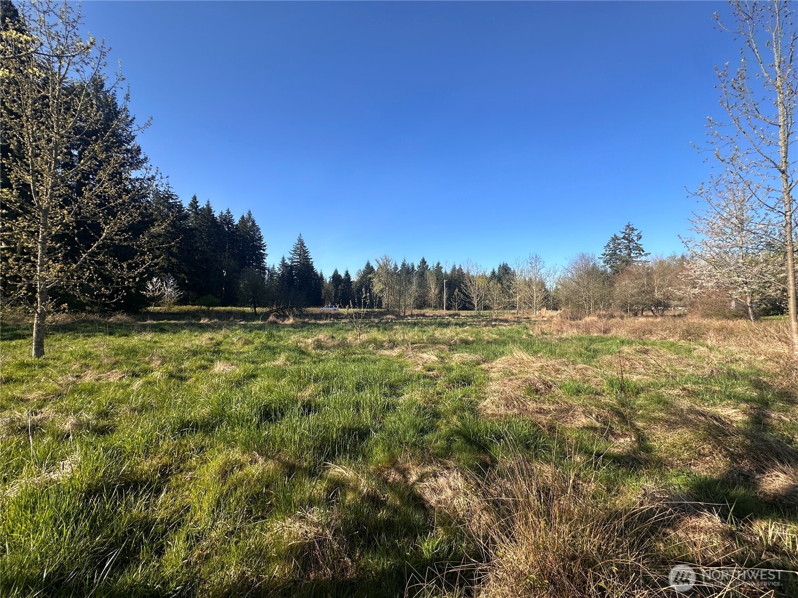 517 Toledo Salmon Creek Road Property Photo 6