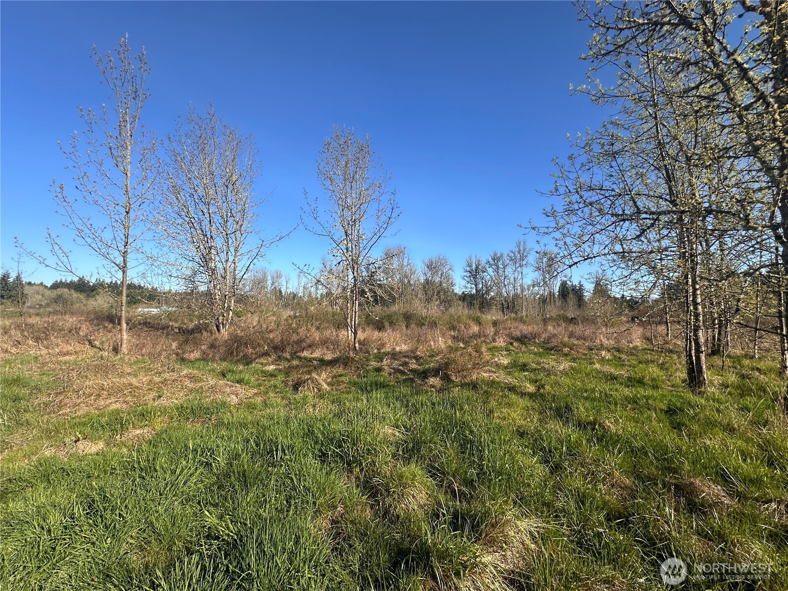517 Toledo Salmon Creek Road Property Photo 7