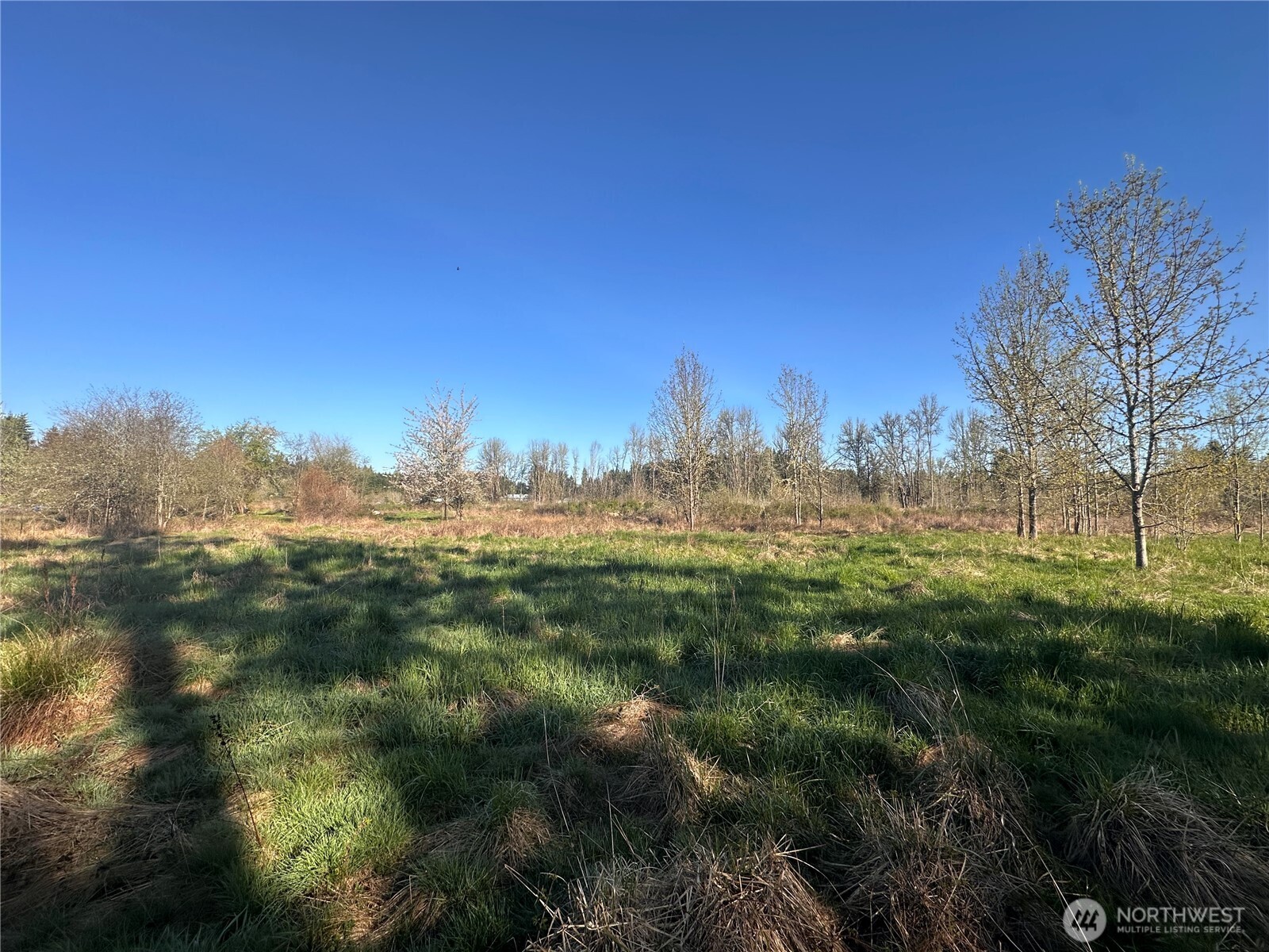517 Toledo Salmon Creek Road Property Photo 8