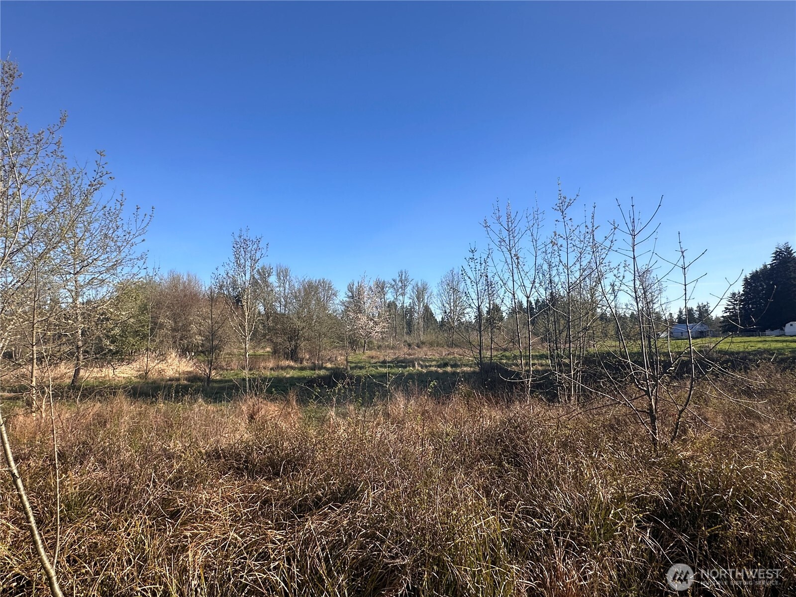 517 Toledo Salmon Creek Road Property Photo 9