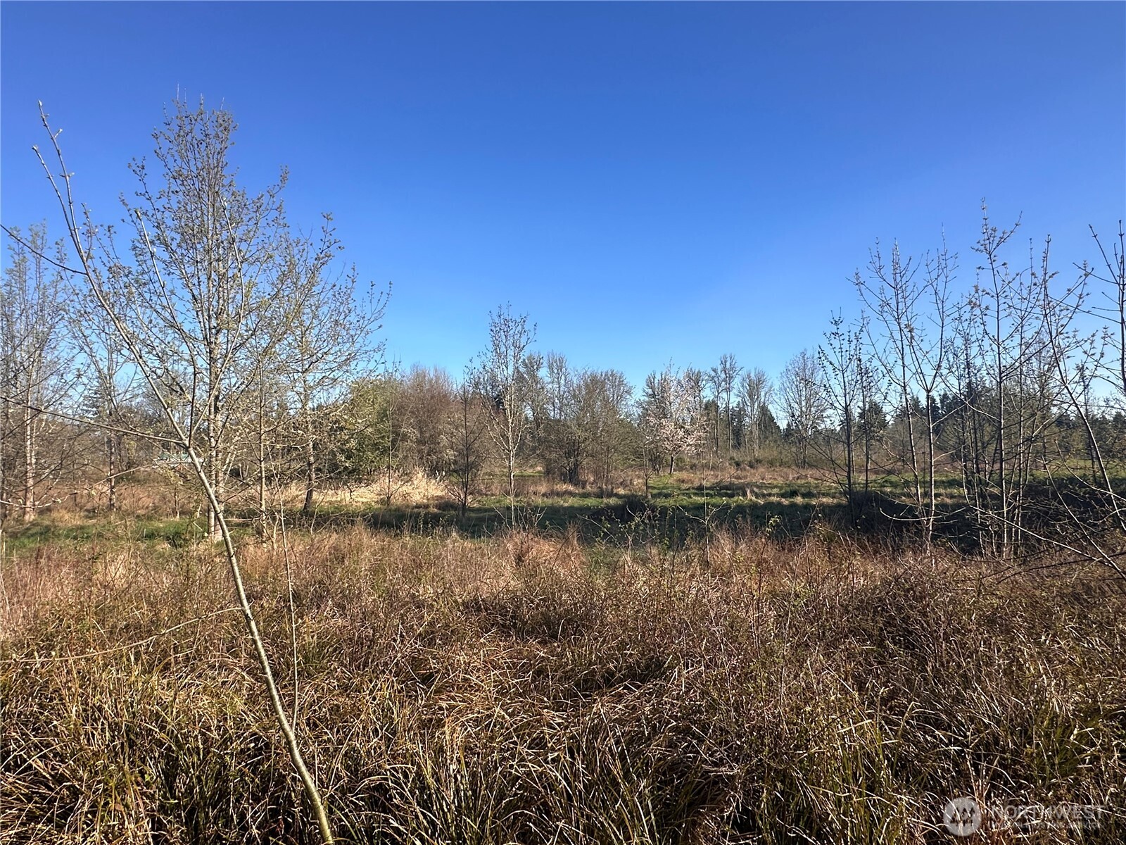 517 Toledo Salmon Creek Road Property Photo 10