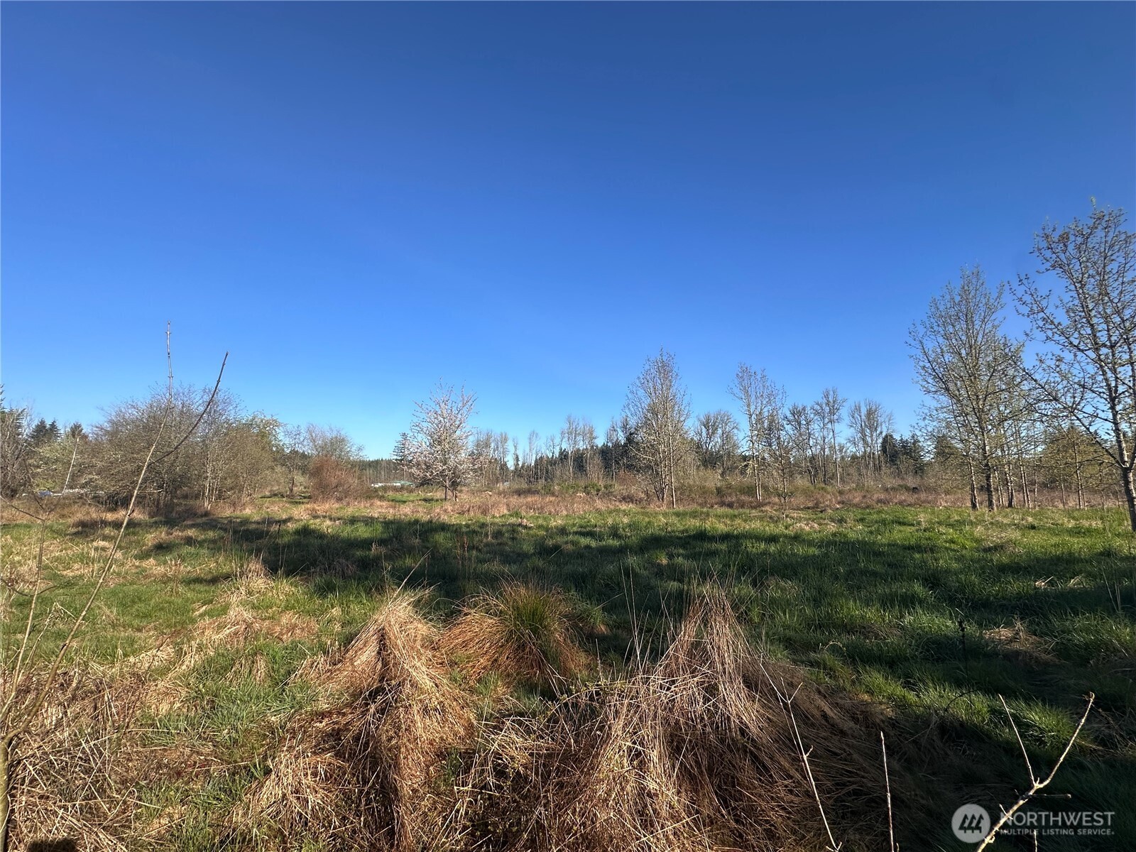 517 Toledo Salmon Creek Road Property Photo 11