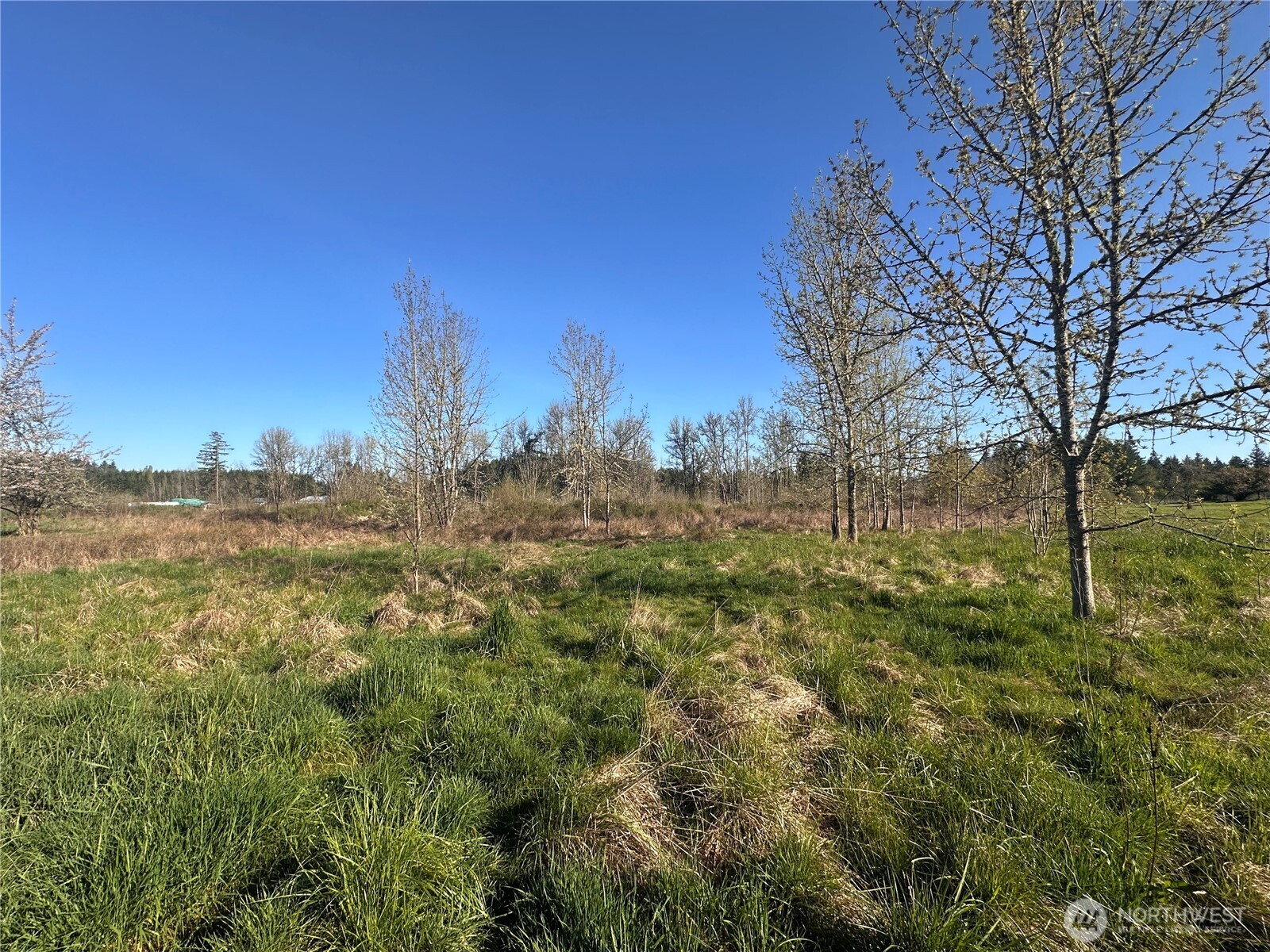 517 Toledo Salmon Creek Road Property Photo 12