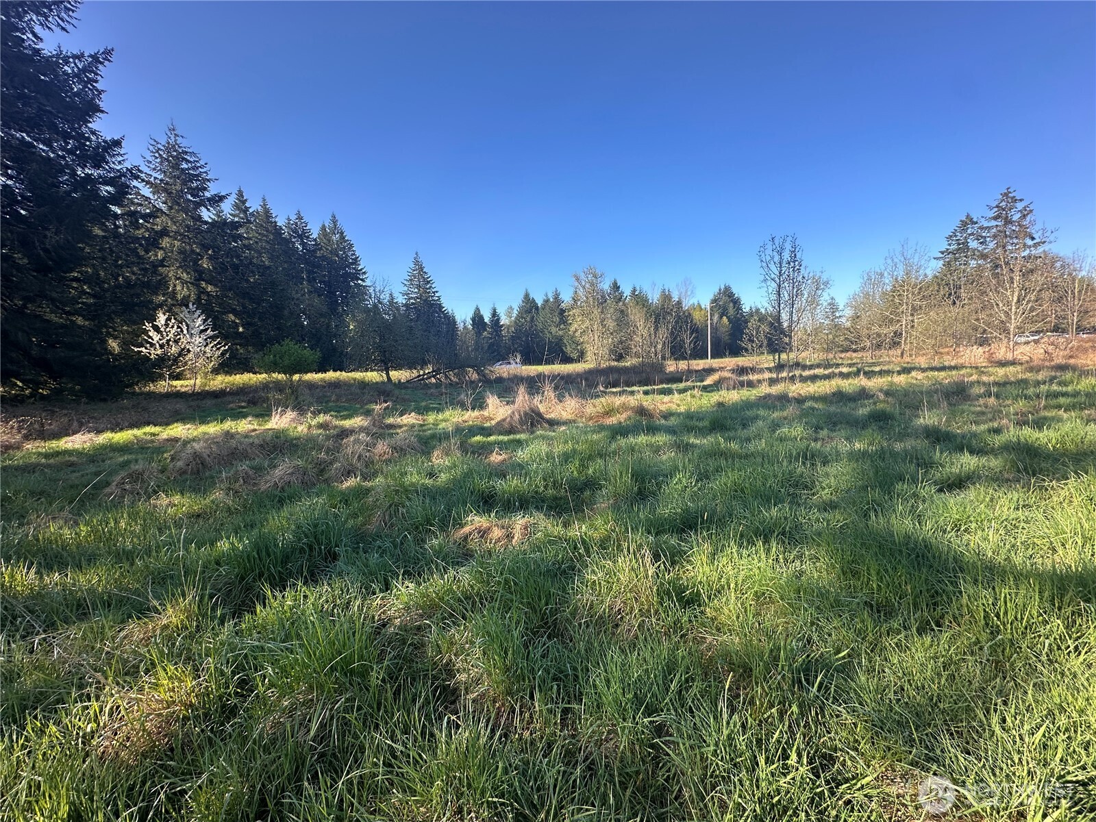 517 Toledo Salmon Creek Road Property Photo 13