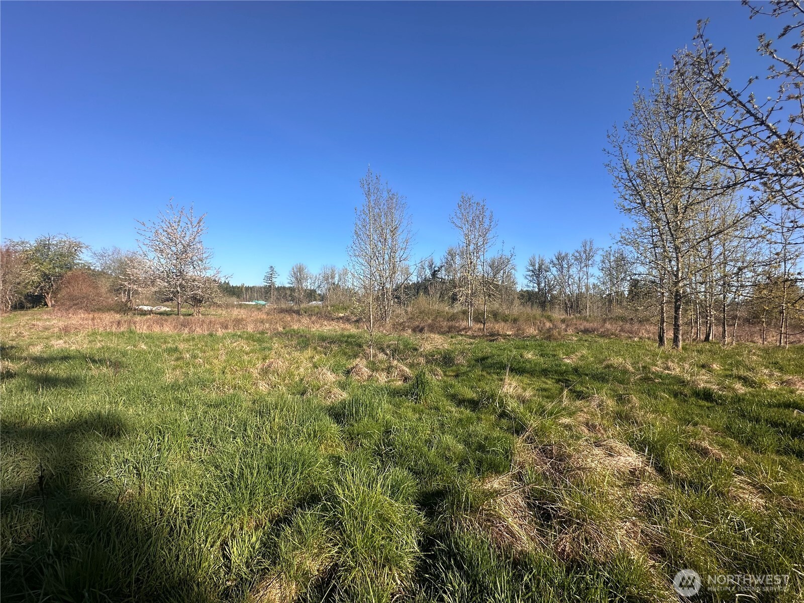 517 Toledo Salmon Creek Road Property Photo 14