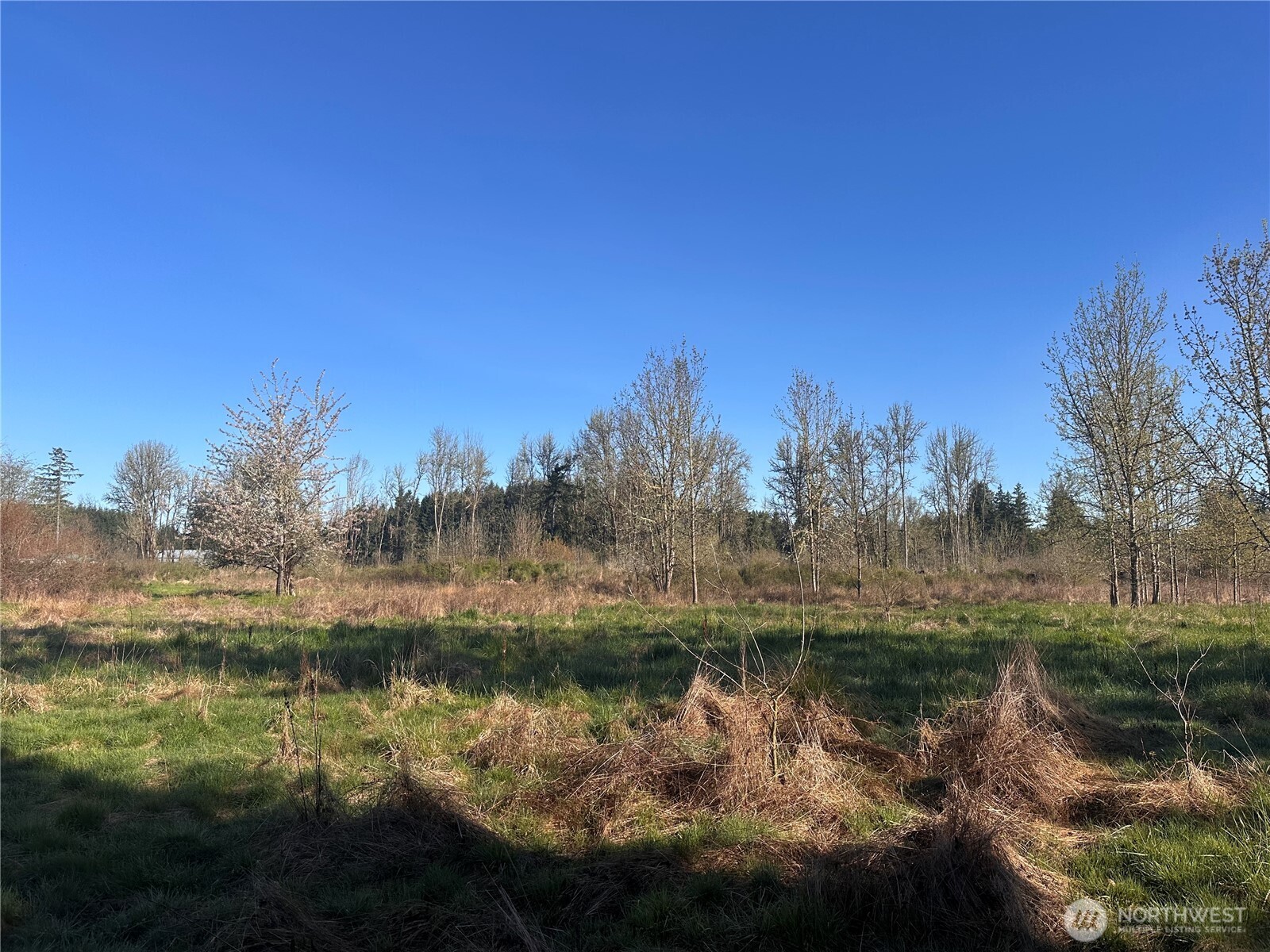 517 Toledo Salmon Creek Road Property Photo 19