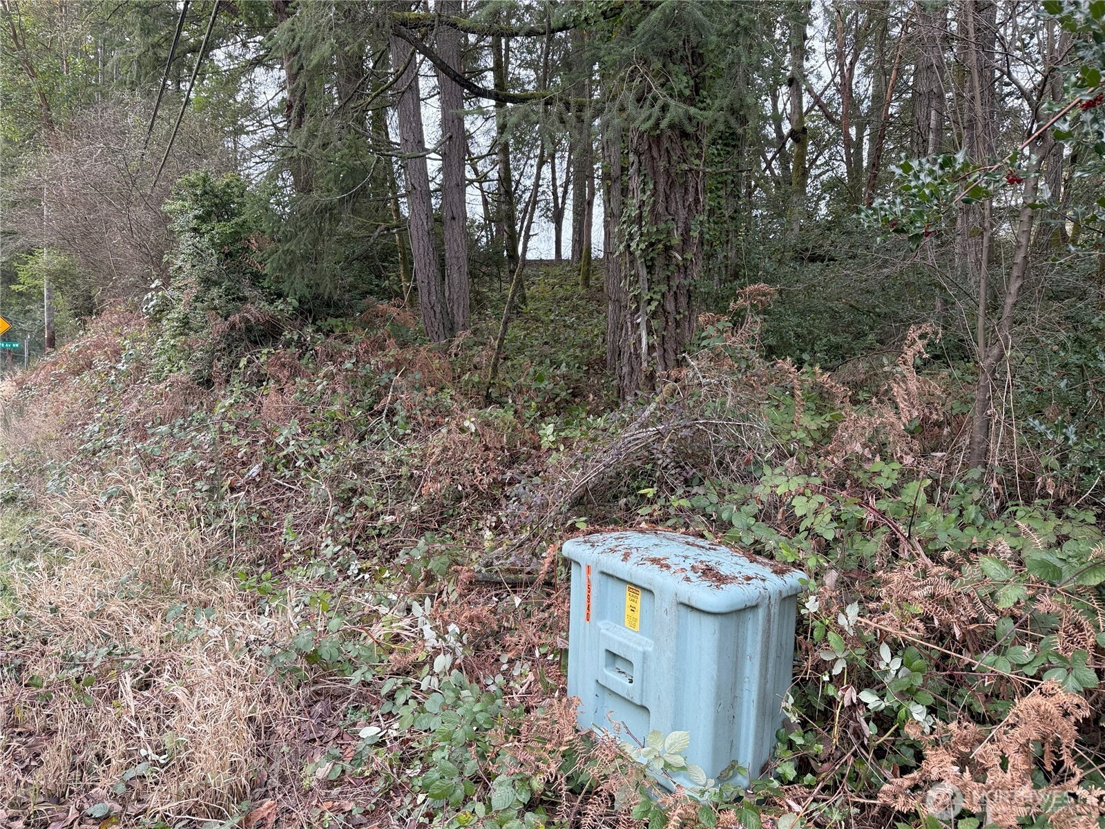 7719 Rosedale Street Property Photo 2