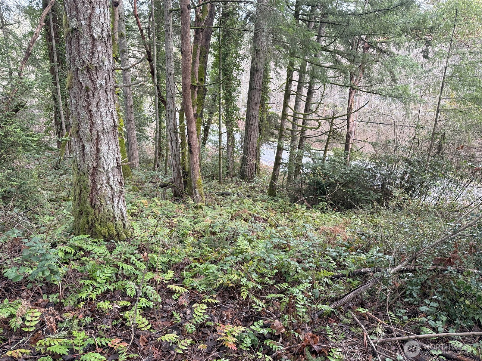 7719 Rosedale Street Property Photo 4