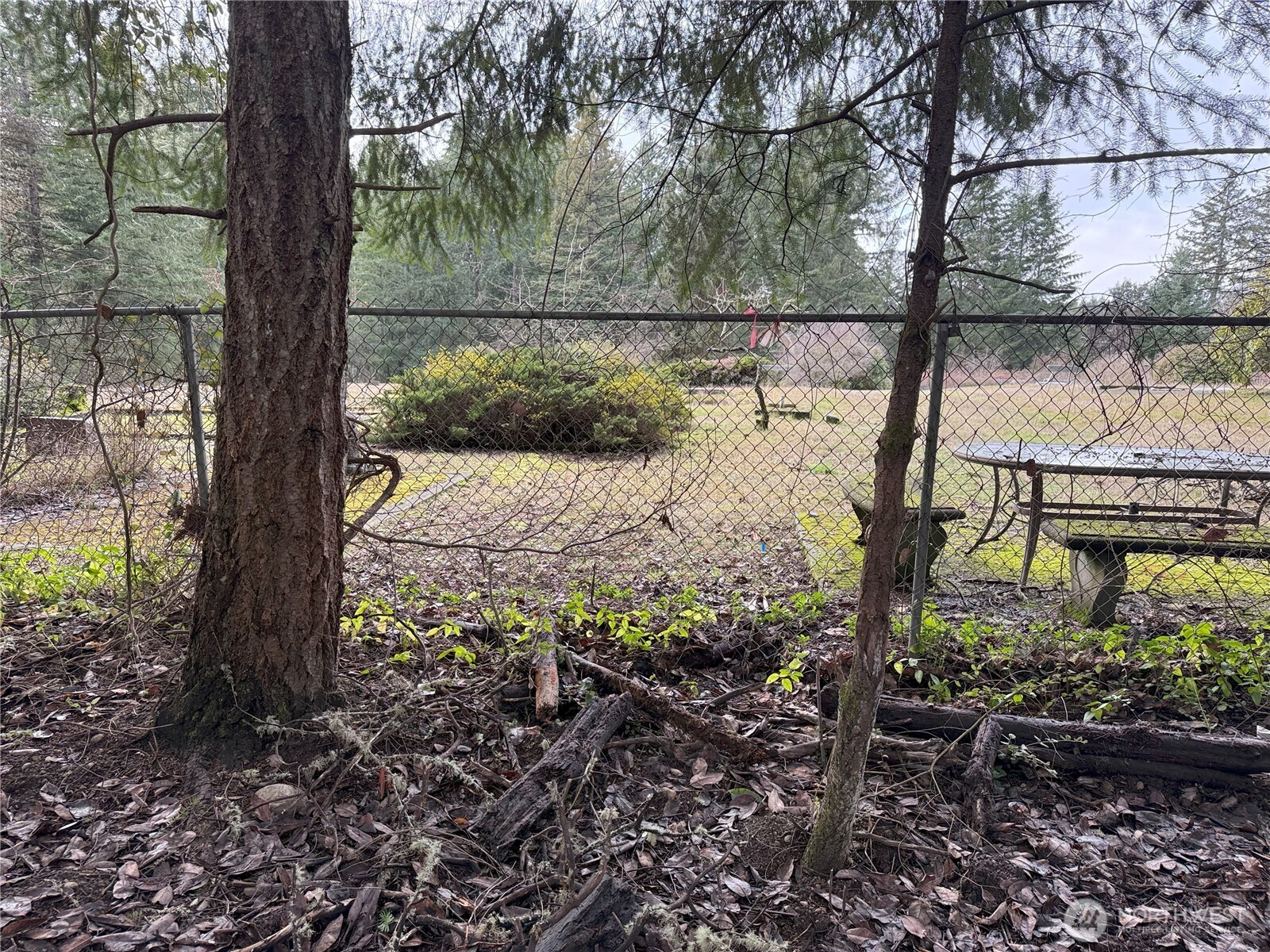 7719 Rosedale Street Property Photo 6