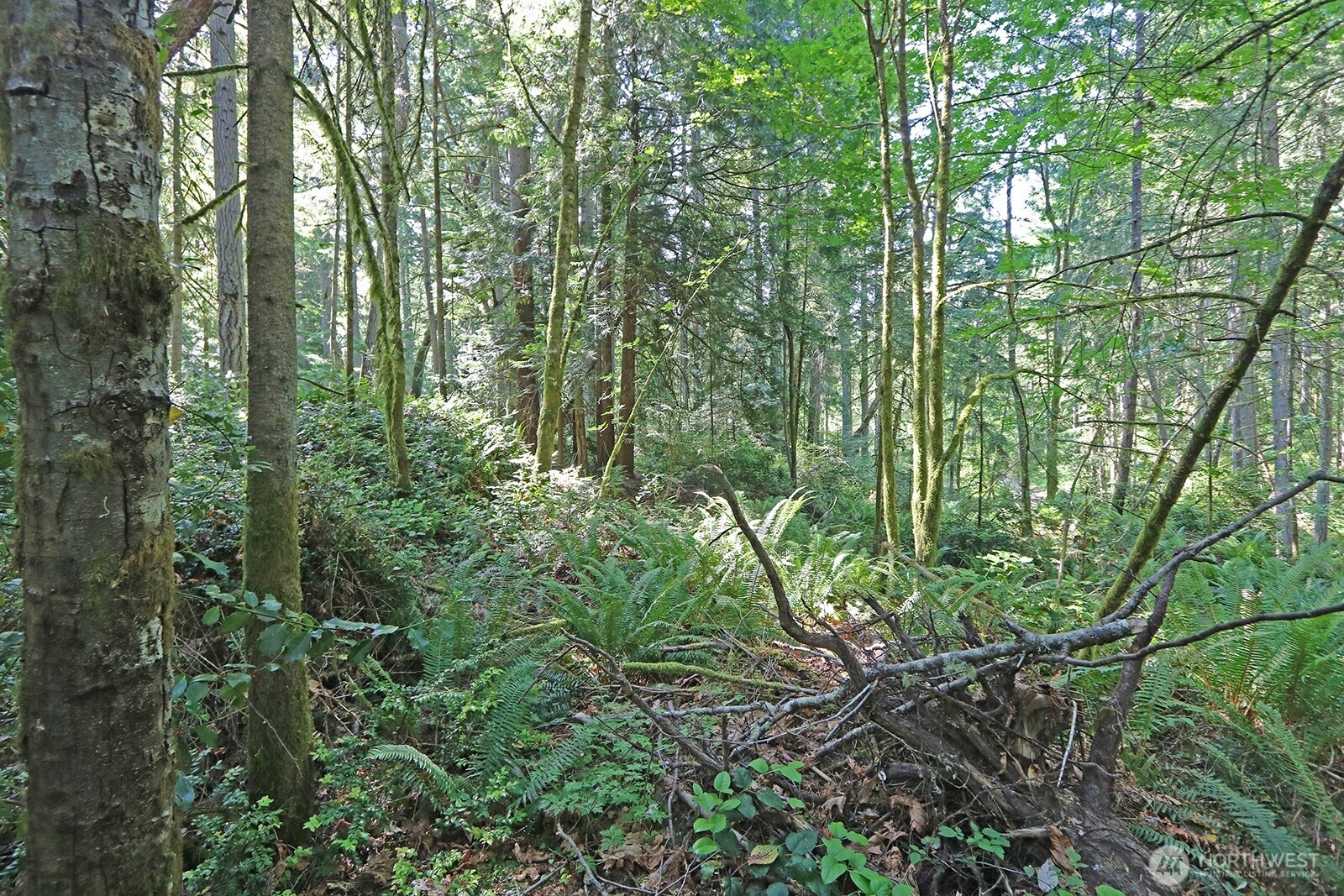 20825 Old Mill Road Property Photo