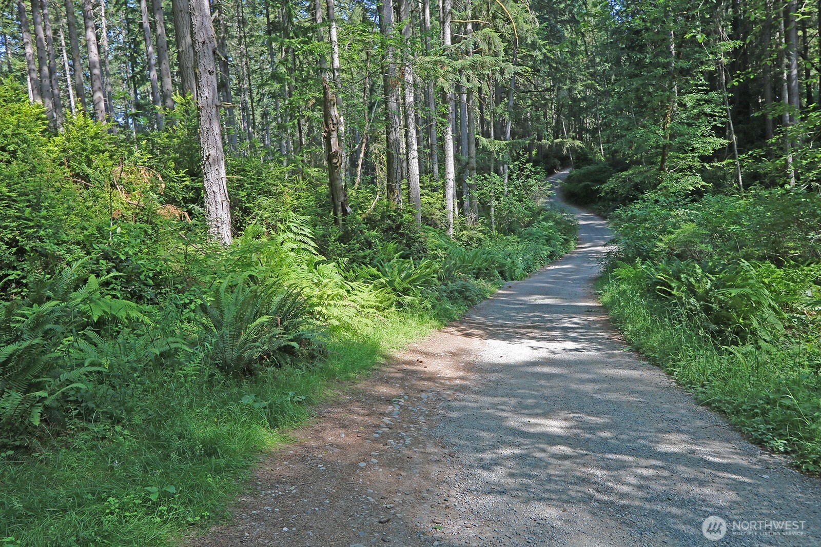 20825 Old Mill Road Property Photo 4