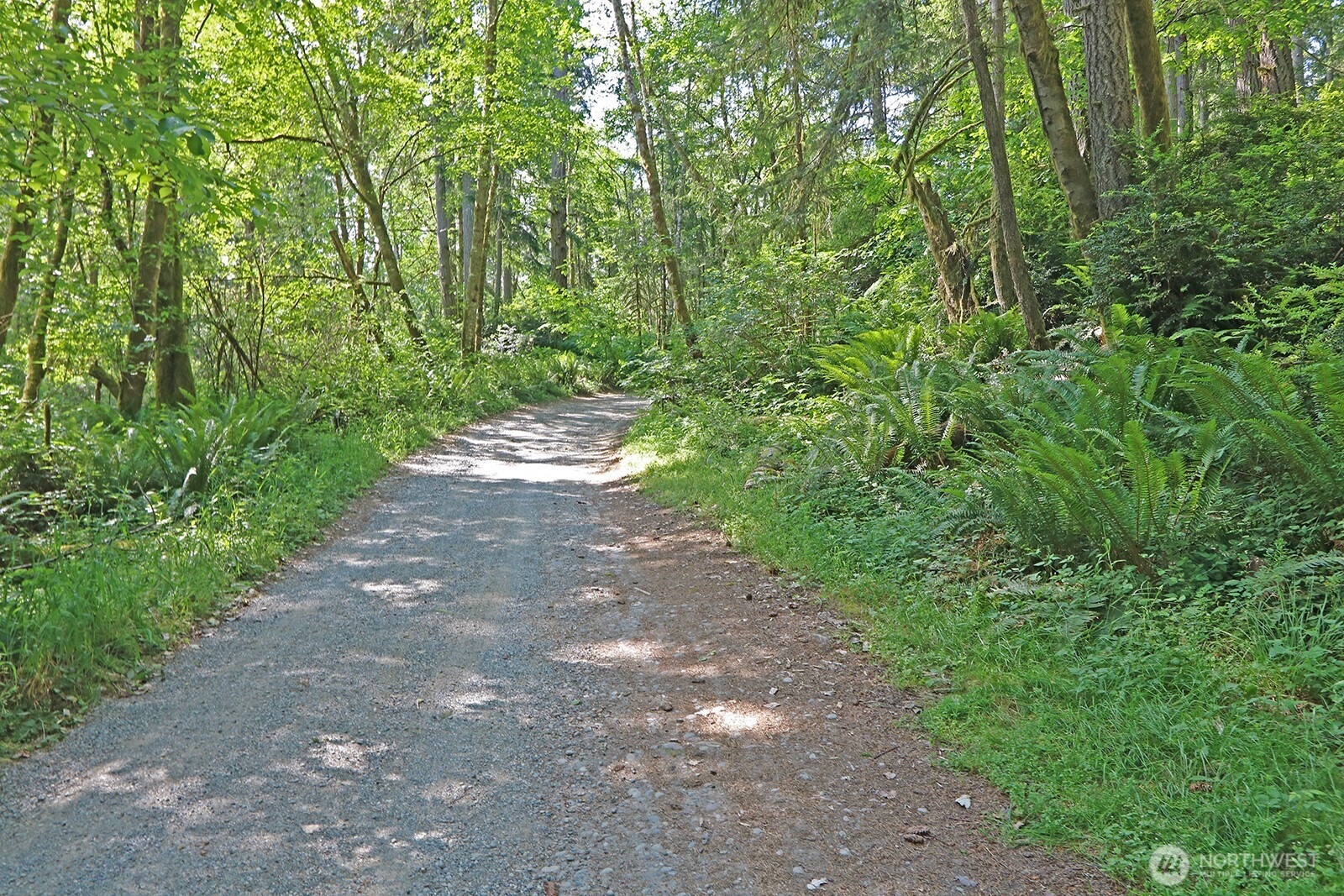 20825 Old Mill Road Property Photo 5