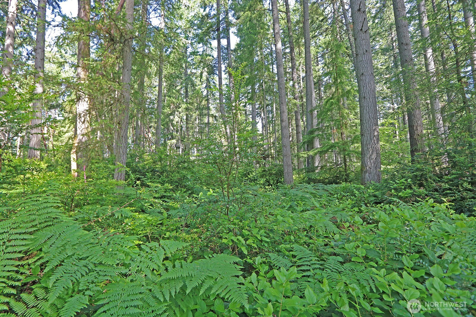 20825 Old Mill Road Property Photo 9