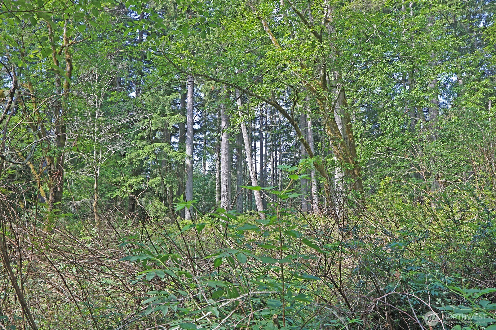 20825 Old Mill Road Property Photo 11