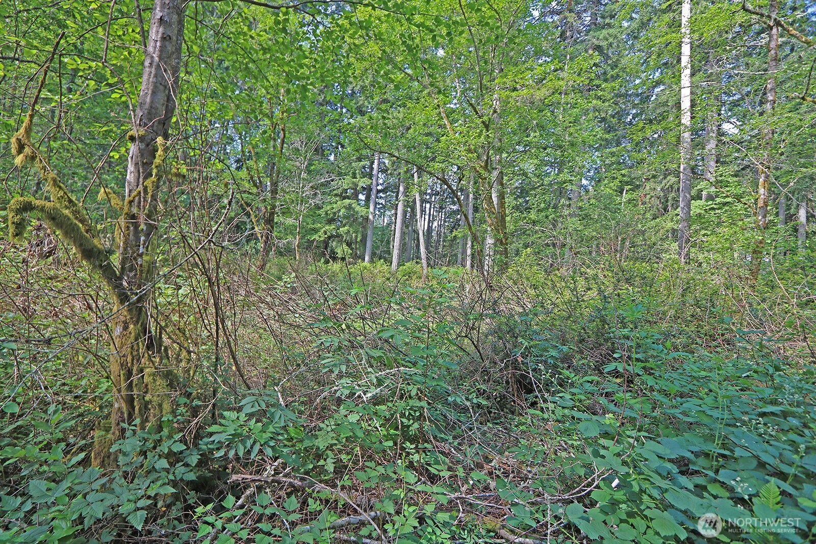 20825 Old Mill Road Property Photo 12