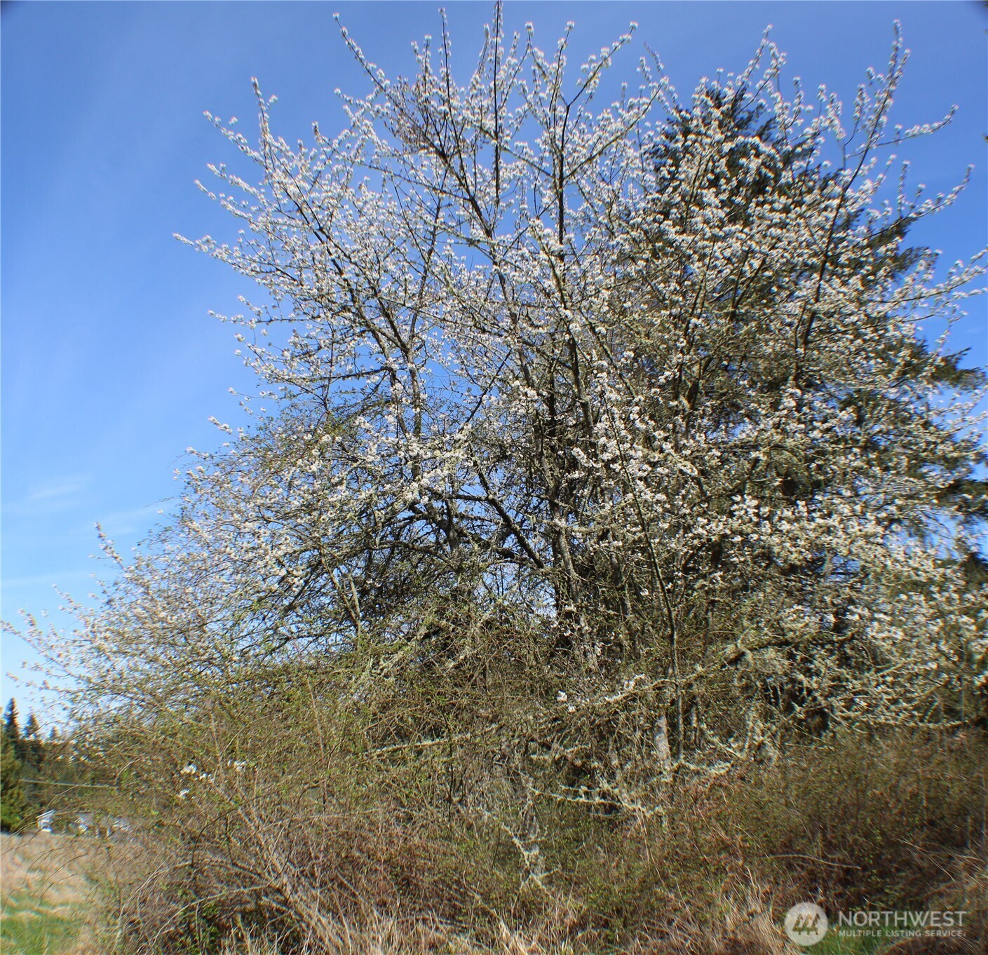 999 Oso Vista Court Property Photo 2