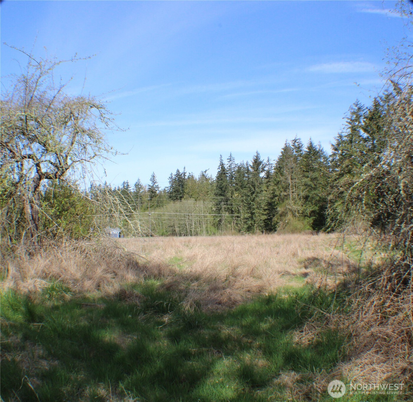 999 Oso Vista Court Property Photo 3