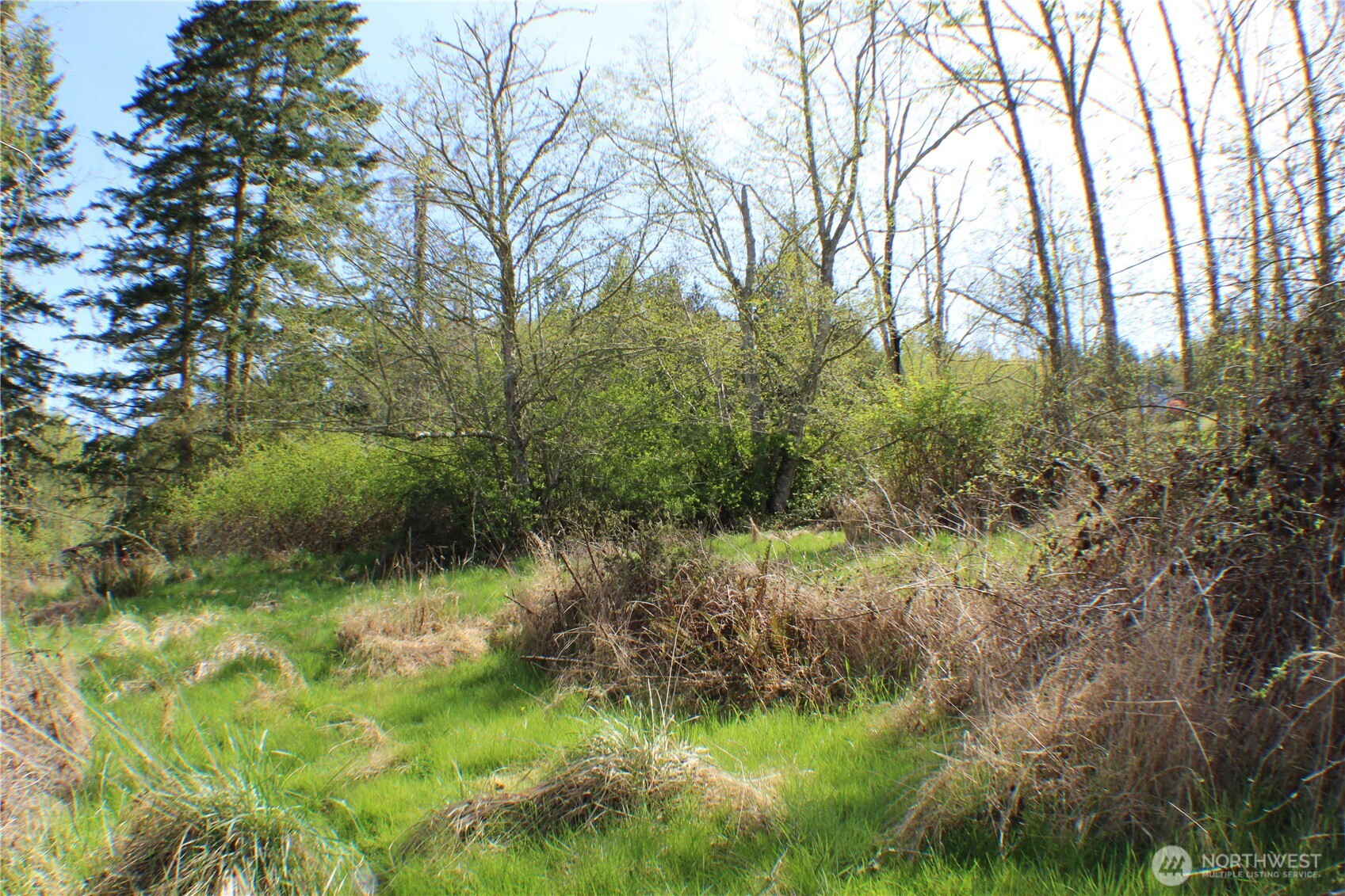 999 Oso Vista Court Property Photo 4