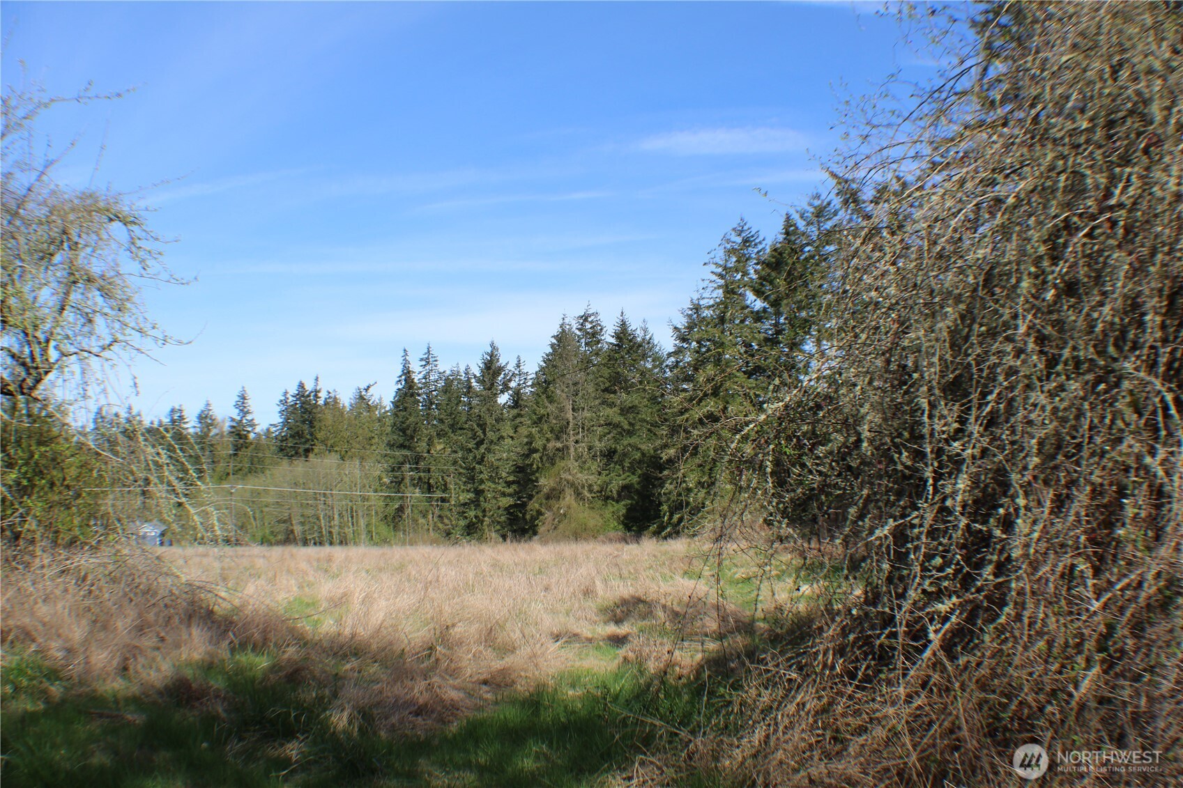 999 Oso Vista Court Property Photo 5