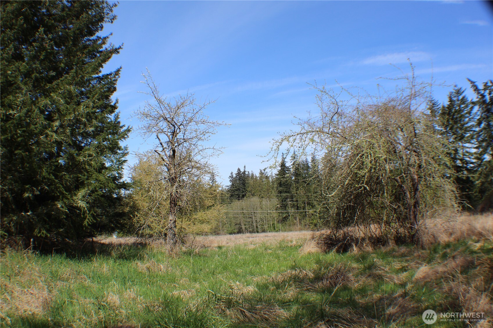 999 Oso Vista Court Property Photo 7