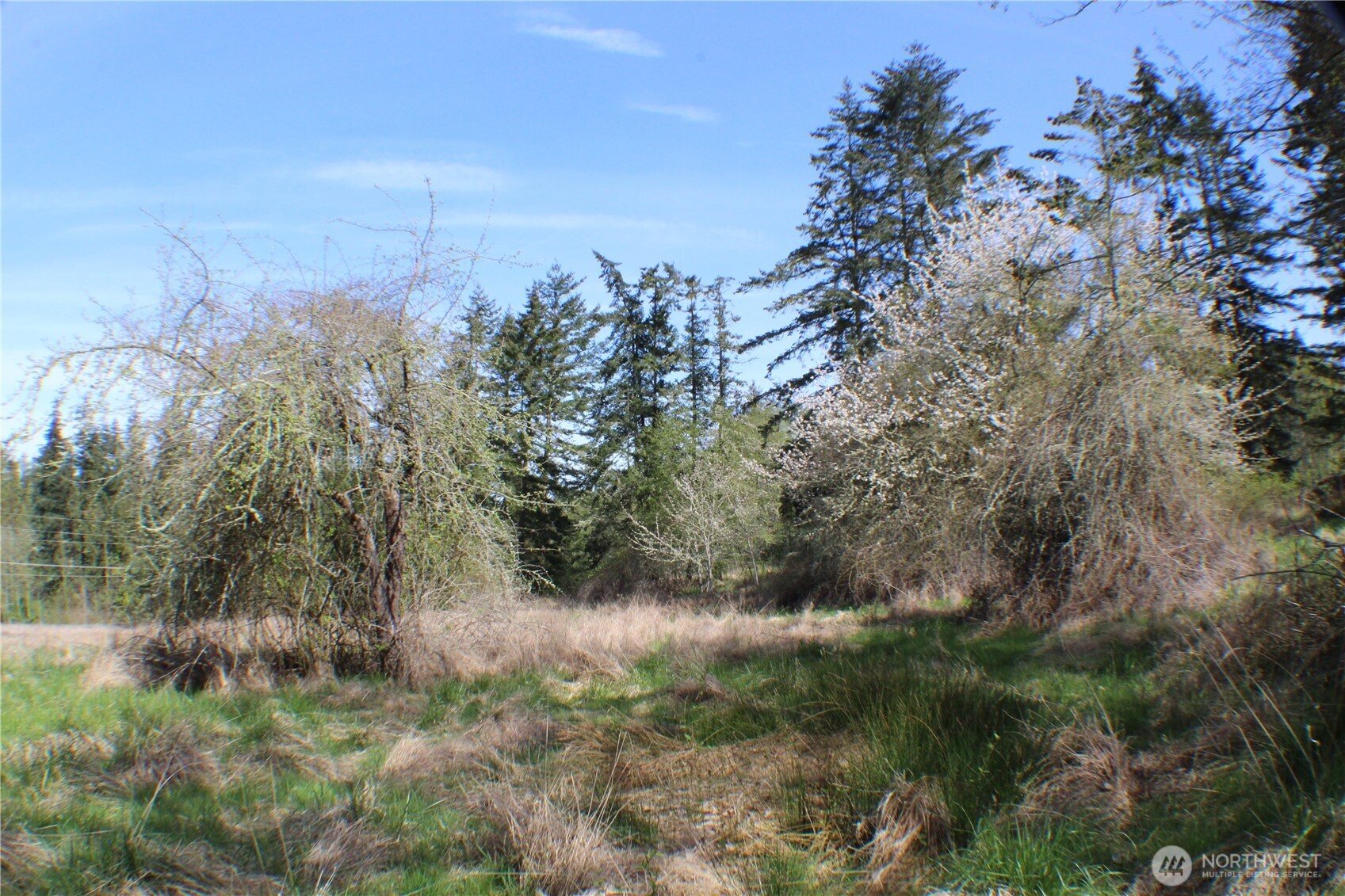 999 Oso Vista Court Property Photo 8